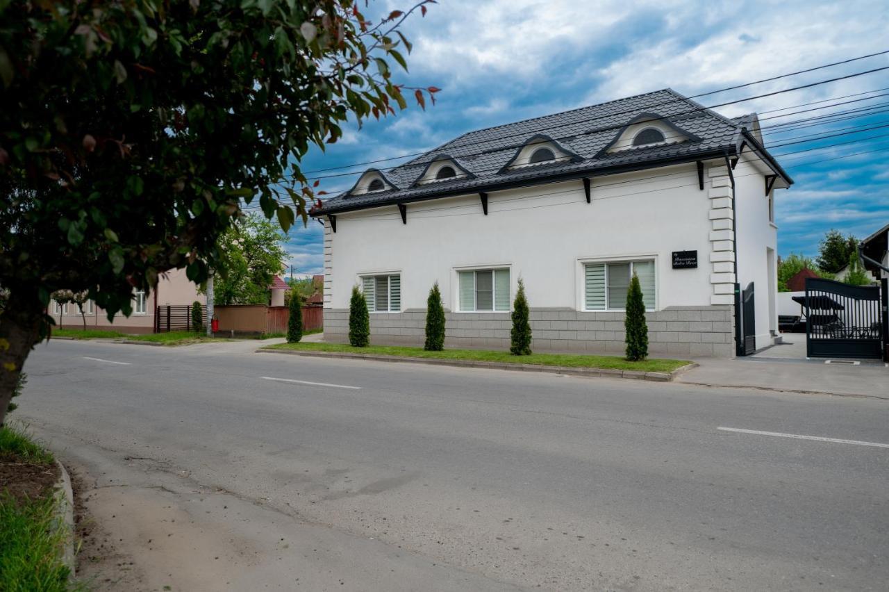 Casa Bolta Rece Hotel Sighetu Marmaţiei Екстериор снимка